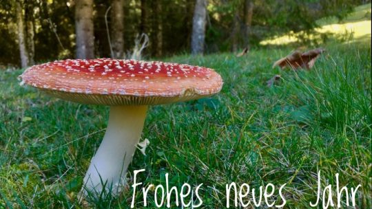 Alles Gute für 2020