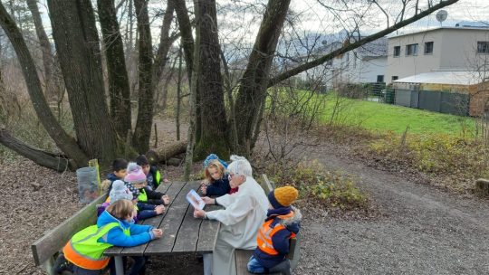 Weihnachten im Zauberwald