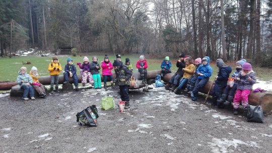 Weihnachten im Wald