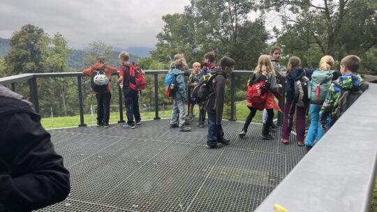 Ausflug der 4. Klassen in den Wildpark