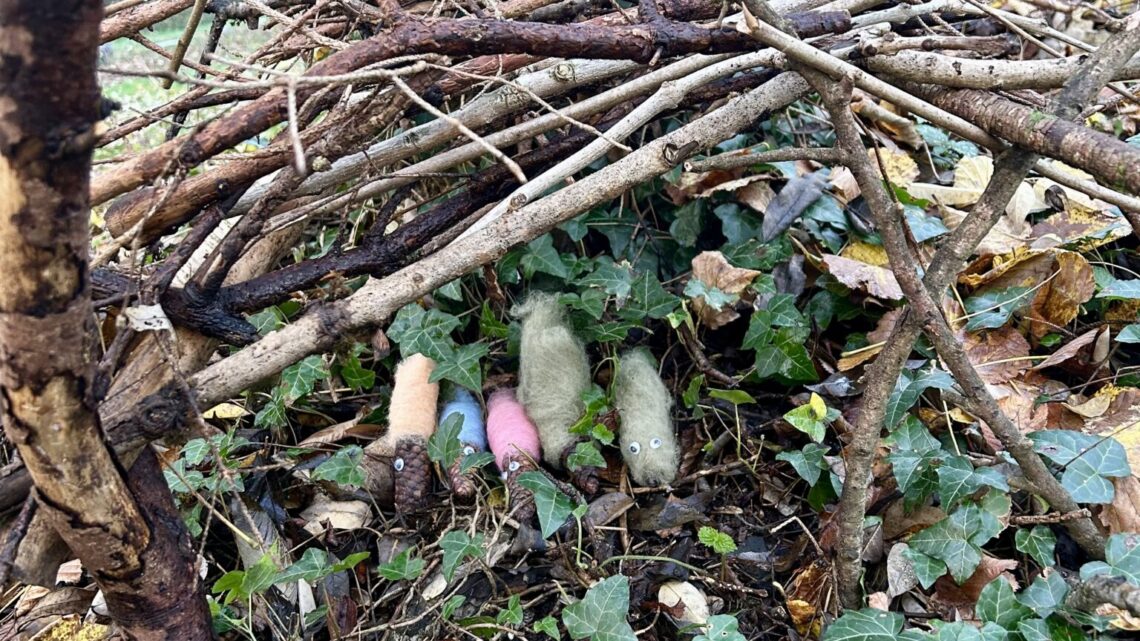 Waldnachmittag der Bärenklasse