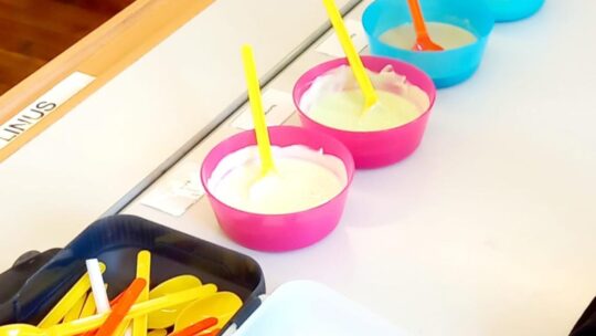 Drittklässler als „Genussdetektive“